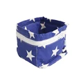 Blue Star