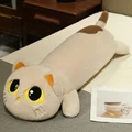 kaqi