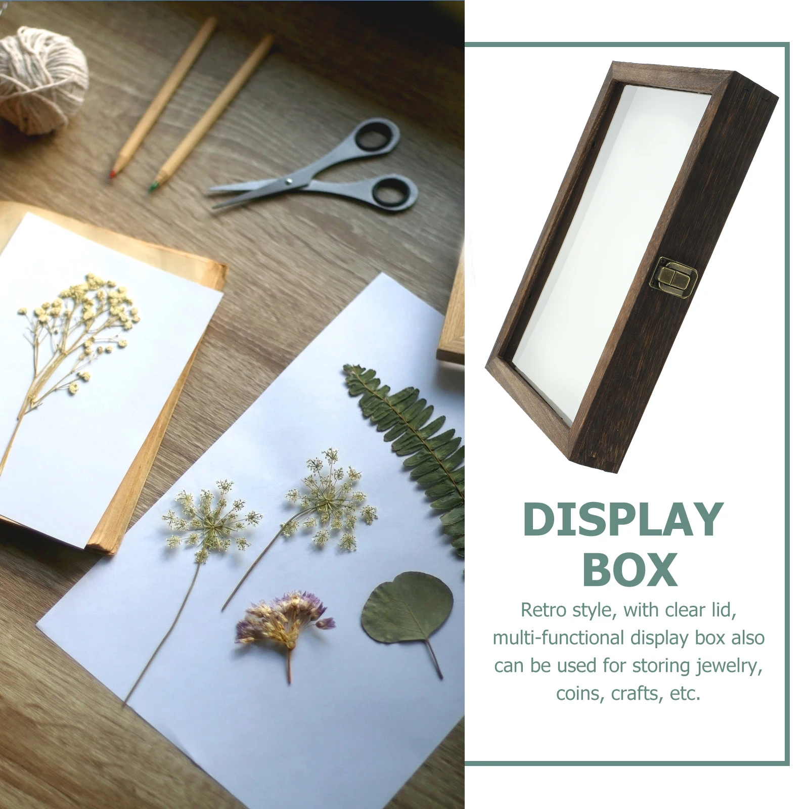 1 Set of Insect Display Case Specimen Vintage Box Frame Container Butterflies Display Boxes Insect Case Holder Wooden Storage