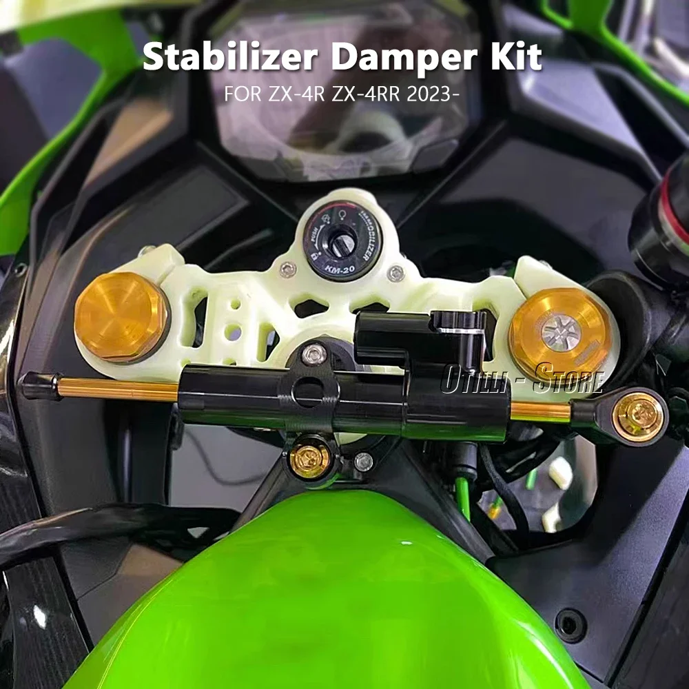 Рисунок 2 - Для Kawasaki ZX-4RR ZX4RR ZX 4RR