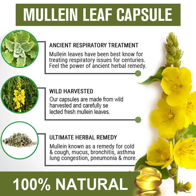 Organic Mullein Leaf Extract Capsule For Lung Cleansing & Liver Detoxification Lug Clears Respiratory Health Deep Sleep Better