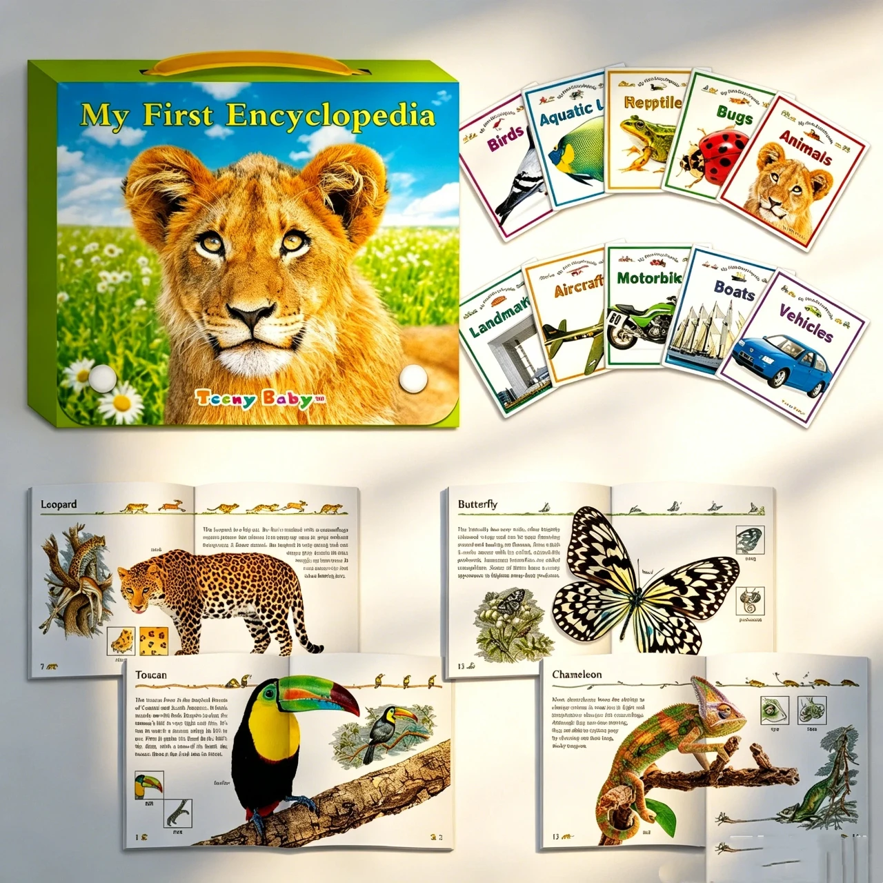 10 Pcs My First Encyclopedia Kids Book Set Portable Case Early Learning Books Animals Birds Vehicles Landmarks For Girl and Boy
