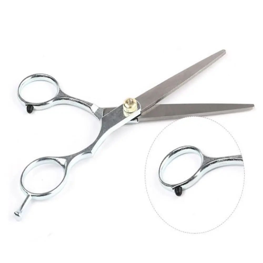 Thinning Hair Cutting Scissors 6.0 Inch Stainless Steel Hairdressing Shears Silver Barber Salon Barber Scissors Barber Shop