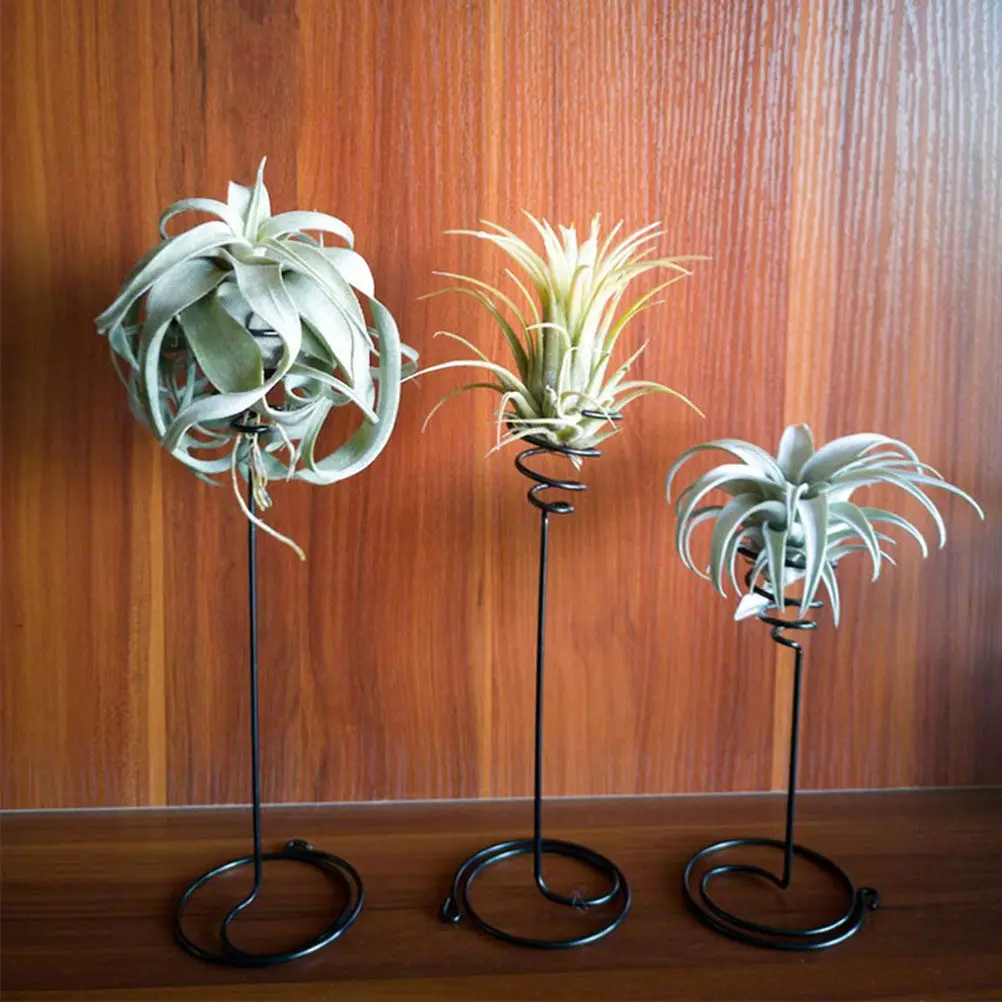 2Pcs Air Plant Stand Holder Iron Display Rack for Tillandsia Modern Tabletop Decor Living Wall Art Craft Gift Air Plant Shelves