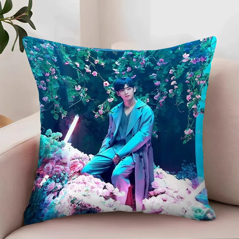 C-Cha Eun Woo Cover for Pillow Covers Decorative Luxury Cushion Cover Pillowcases for Pillows 45x45 Aesthetic Room Decoration