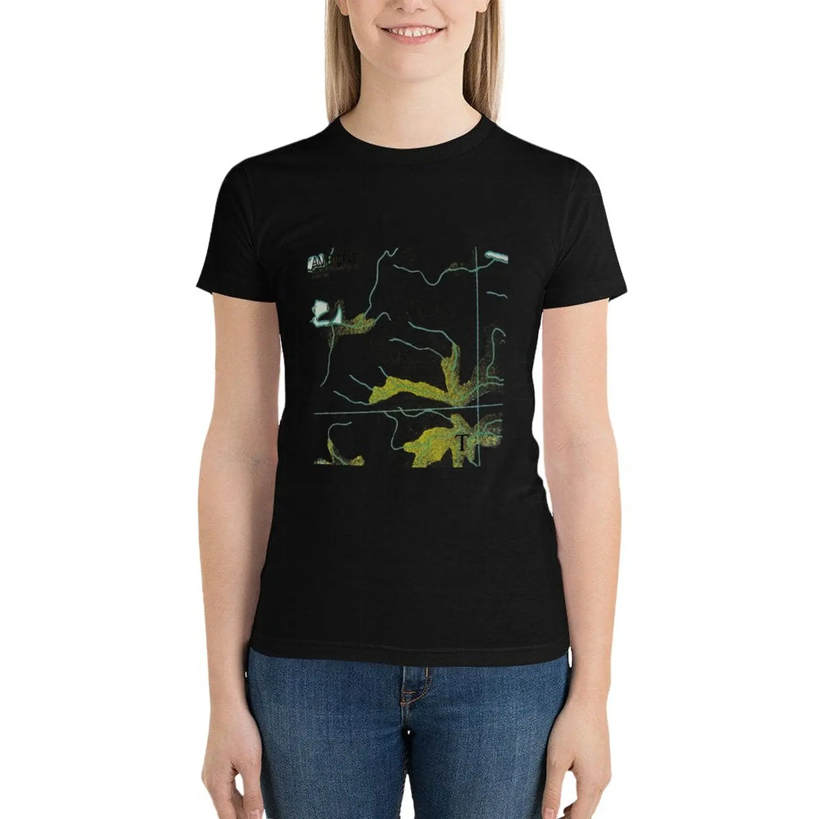 Brian Eno Ambient 1 High Quality T-Shirt shirts graphic tees summer clothes summer top ariat shirts for Women