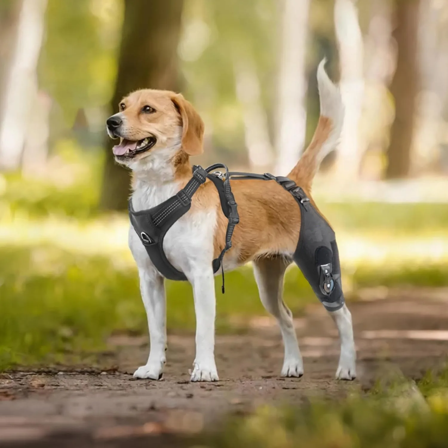 Dog Hind Leg Brace Support, with Adjustable Hinge Stabilizer & Fasten Strapes,More Comfortable Wearing Experience,ACL Recovery