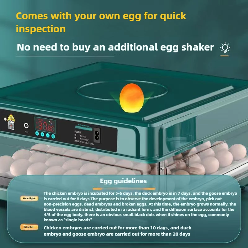 Thumbnail 4 - #10 Trending Small Animal Supplies Right Now