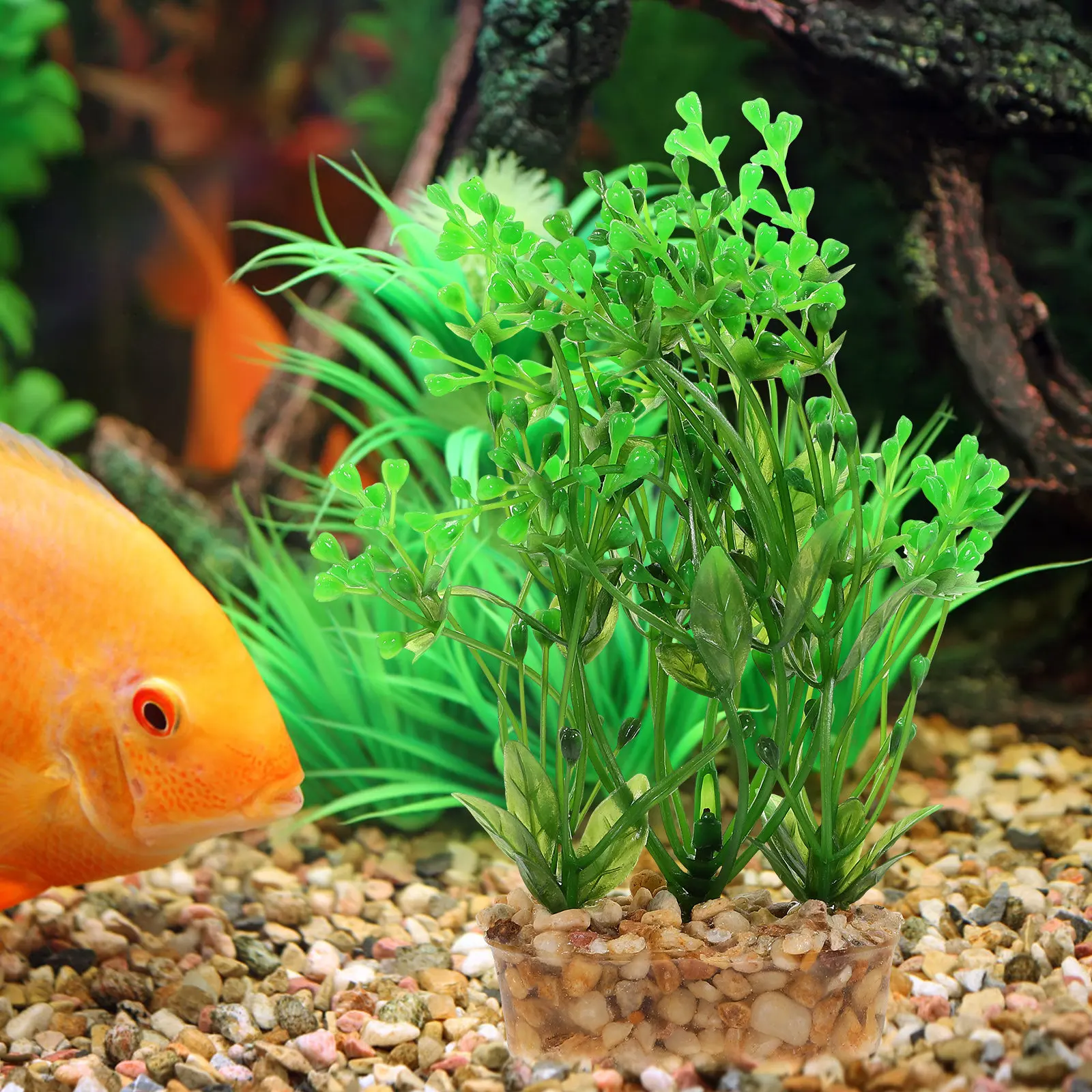 Künstliche Wasserpflanzen für  – Planted Aquarium Freshwater Bewertung und Preis