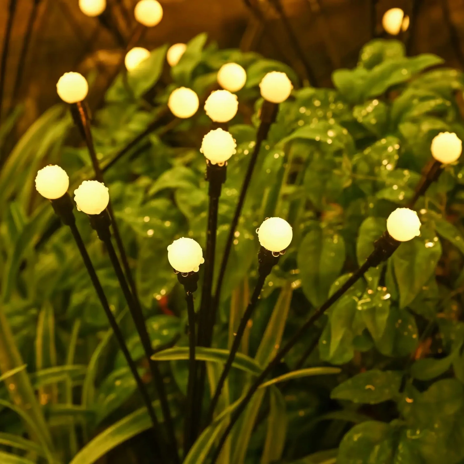 Luci da giardino decorative per esterni ad energia solare migliorate: soluzione impermeabile, durevole e vibrante per illuminare il tuo giardino oasi