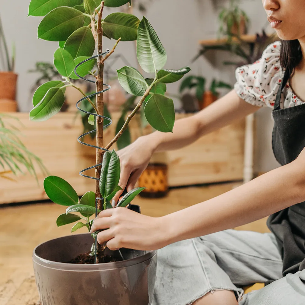 

Набор из 4 прочных железных опор для растений: спиральные подставки для вьющихся растений в горшках, садовые решетки