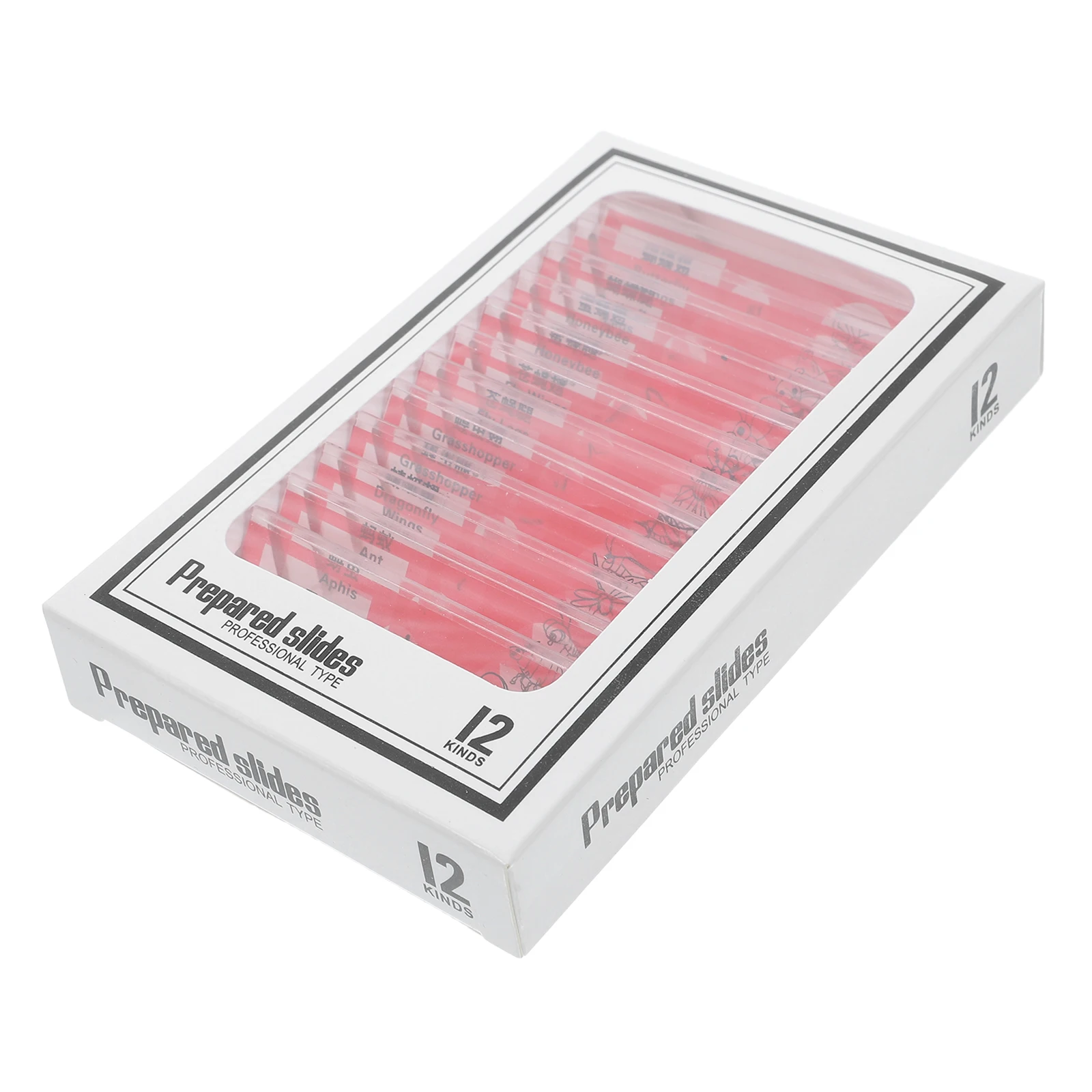 12 Pcs Biological Sample Sections Blood Microscope Slides Animal Insect Assortment Child