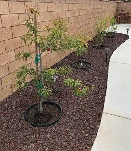 Paquet de 6 24 pouces d'anneaux de plantation. Bordure et rétention de l'eau. Protege les arbres et sépare la roche, le paillis et l'herbe