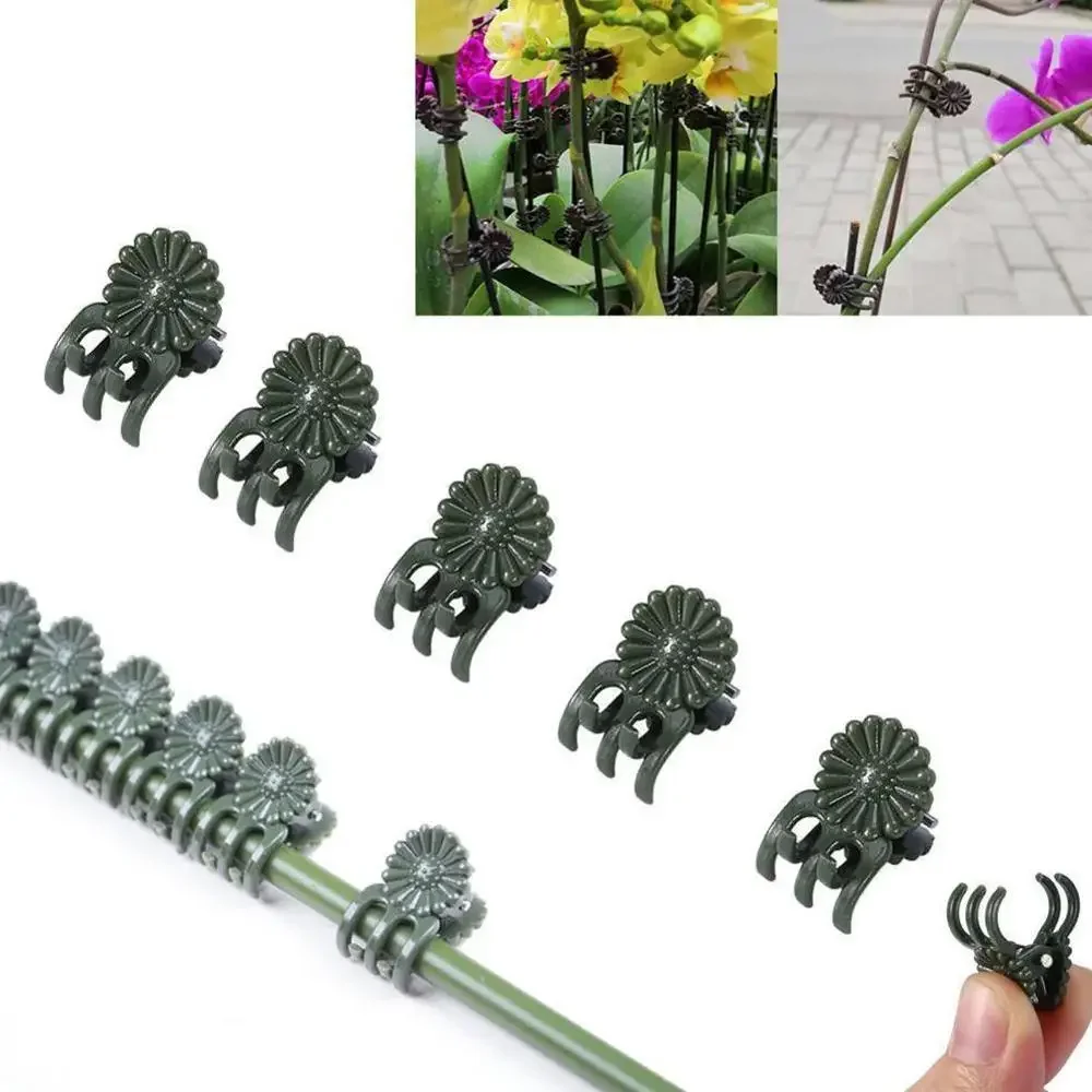 25/50Pcs Orchid Stem Clip Plant Support Vine Plastic Clips Flower Grow Upright Branch Clamping Garden plant support clips