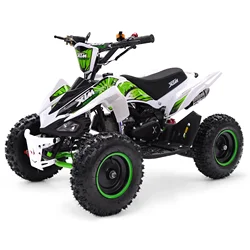 Tao Motor Popular Cheap Chinese Atv Quad 49cc Quad Bike 2 Stroke Four Wheeler Mini Moto 50cc Automatic Atv