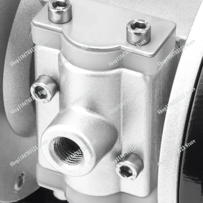 Professional Pneumatic Double Diaphragm Pump 3/8 Inch OEM can be customized for paint spraying