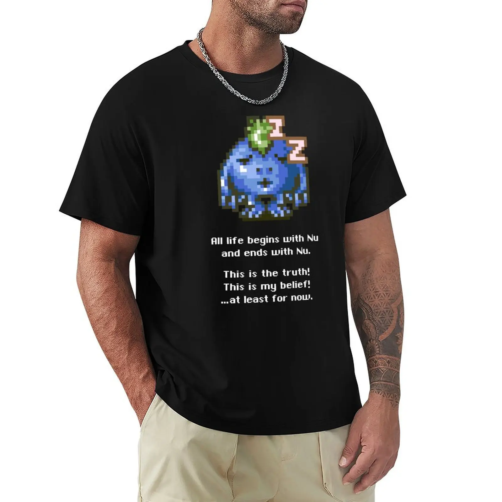 T-shirt décontracté pour hommes, This Is the Truth, assorti à tout