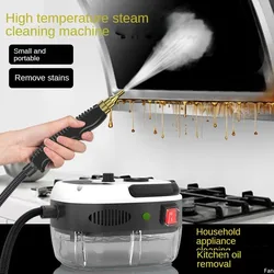 Steam Cleaner High Temperature Sterilization Air Conditioning Kitchen Hood Home /Car Steaming Cleaner 110V /220V