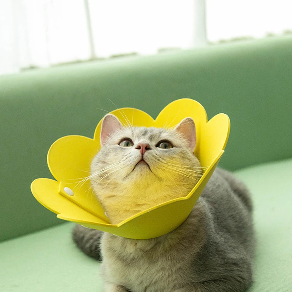 Recovery Collar For Kitten Puppy Wound Healing Protective Cone New Pet Supplies Flower Shaped Anti-bite Cute Creative Cat Goods