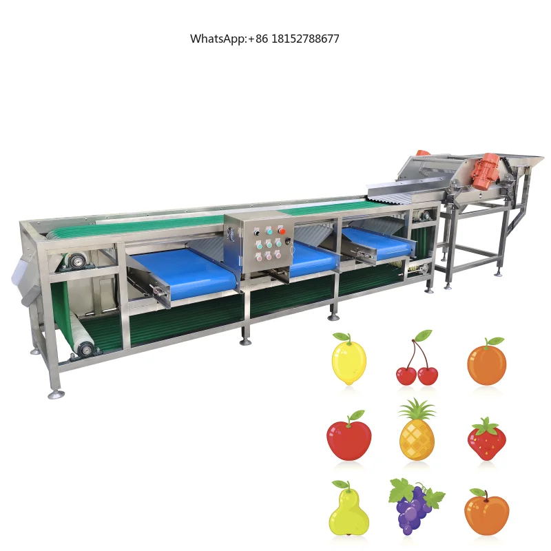 Fruit Vegetable Sorting and Grading Machine - Drum Type Grader for Potato, Tomato, Citrus, Onion Size Classification