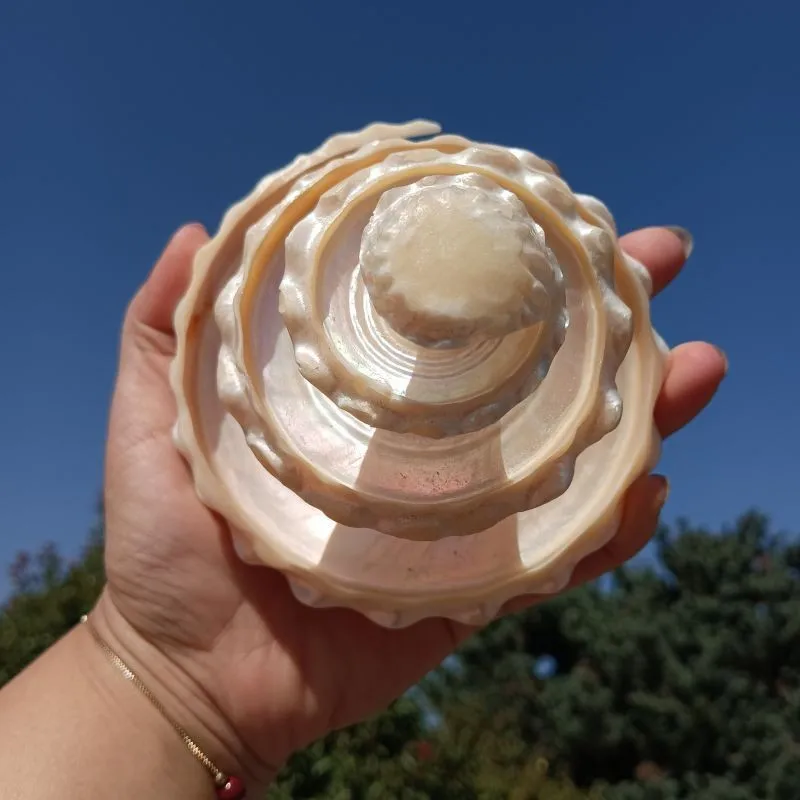 

150 г паста для полировки автомобильного стекла, глянцевая масляная пленка для удаления автомобильного лобового стекла, очиститель для блеска домашних окон