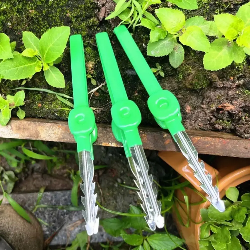 Stainless Steel Gardening Tweezers Solid Stainless Steel Multifunctional Succulent Transplant Clip Compact Lightweight