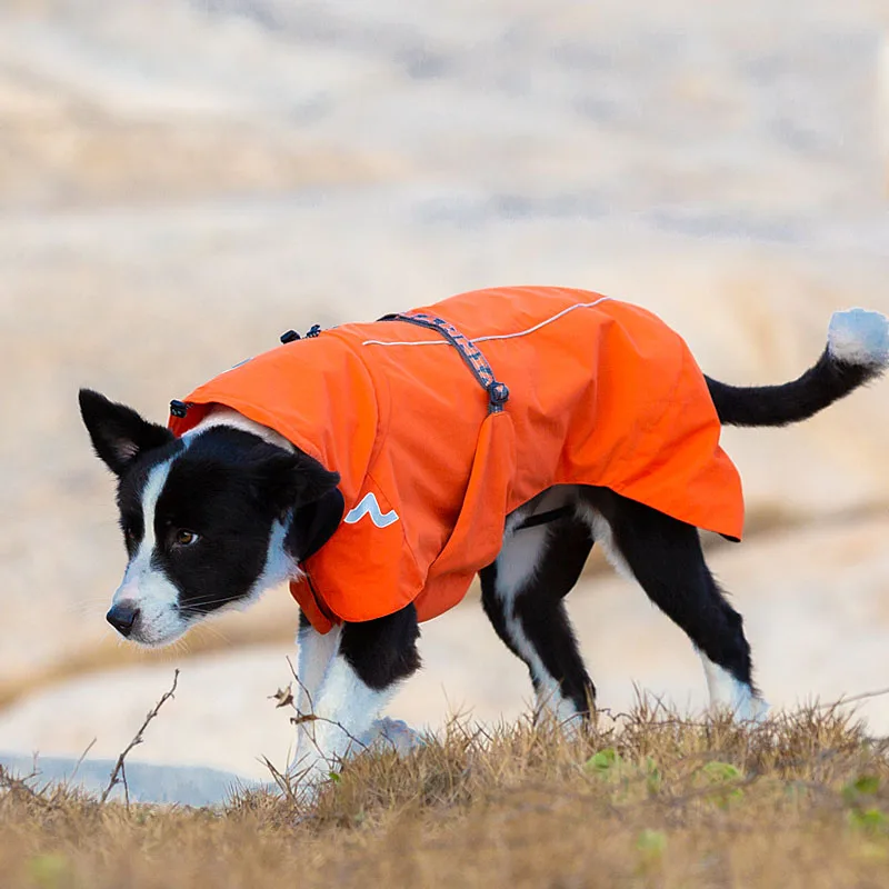 Imagem -03 - Truelove Roupas para Animais de Estimação Impermeável Blusão Destacável Jaqueta Roupas para Cães Padrões de Moda Macio Cabolsa de Chuva para Animais de Estimação Yg1872