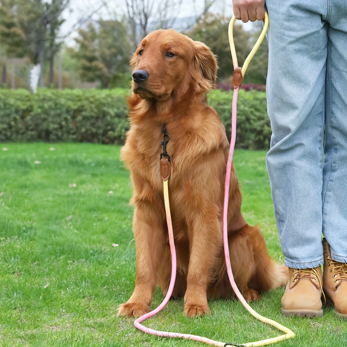 Correa de perro con gradiente de colores, cuerda redonda multifuncional para perros, Correa antideslizante para perros, correa cruzada para caminar