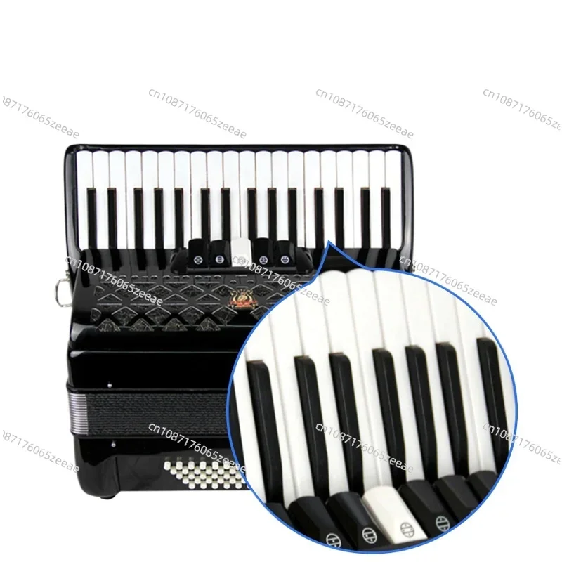 

Parrot Bayan Accordion Instrument Professional Adult Children 34 Keys 60 Bass 96 Beginner Accordion