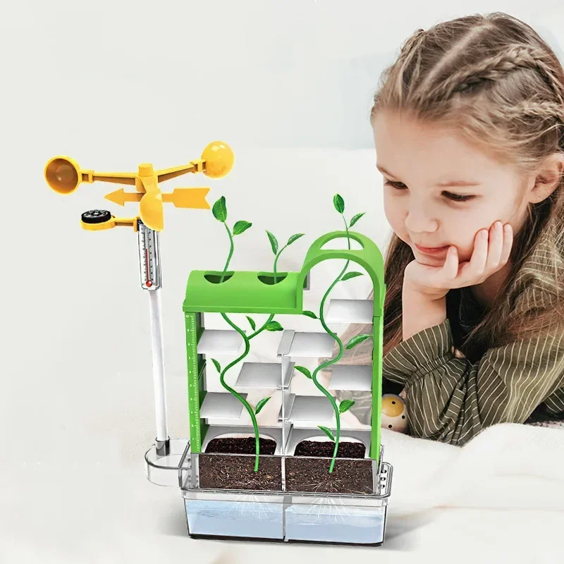

[Funny] Scientific Experiments Plant maze DIY Hand-grown plants parent-children interaction education toy baby birthday gift