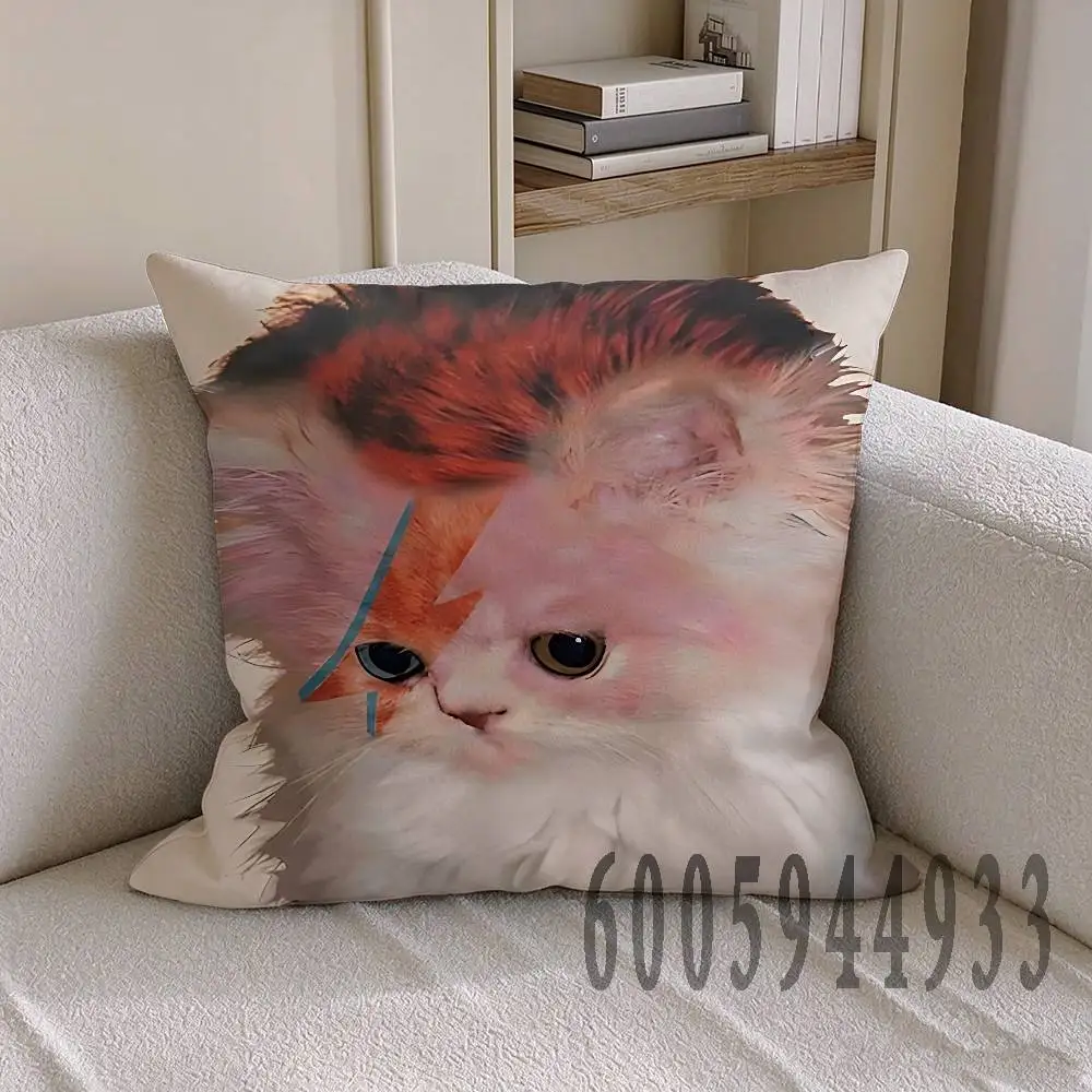 D-David Bowie Anime Celebrity Merchandise All-Match Printed Pillow Case Sofa Car Office Room Decoration Protector