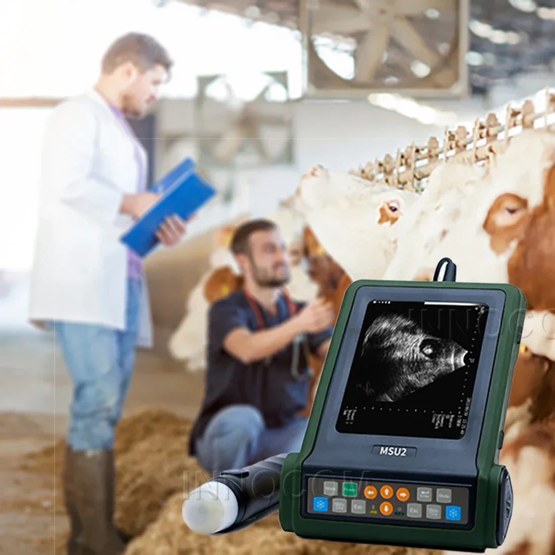 Veterinary Full Digital Ultrasound Machine Farm Use Vet  Mini Portable Cow Pre-gn-ancy Ultrasound Cat Dog Price