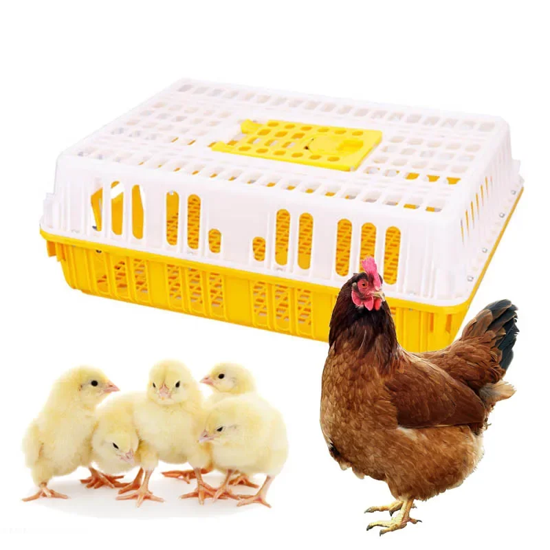 Factory Cage Door Flap Reusable Container 16 Screw Chicken Transport Crate Turnover Box for Hen Chick  Goose Bird Rabbit Duc