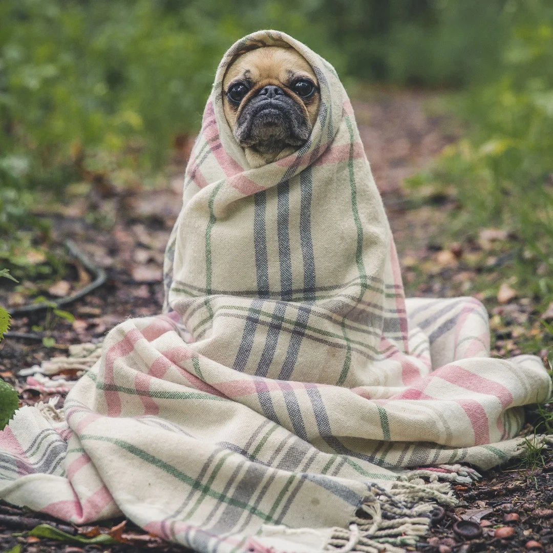 Hh Dual Screen Car Radio For Porsche Cayenne 2010 -2017 Upgraded Interactive Media Video Player 12.3 Inch Android 13 Carplay