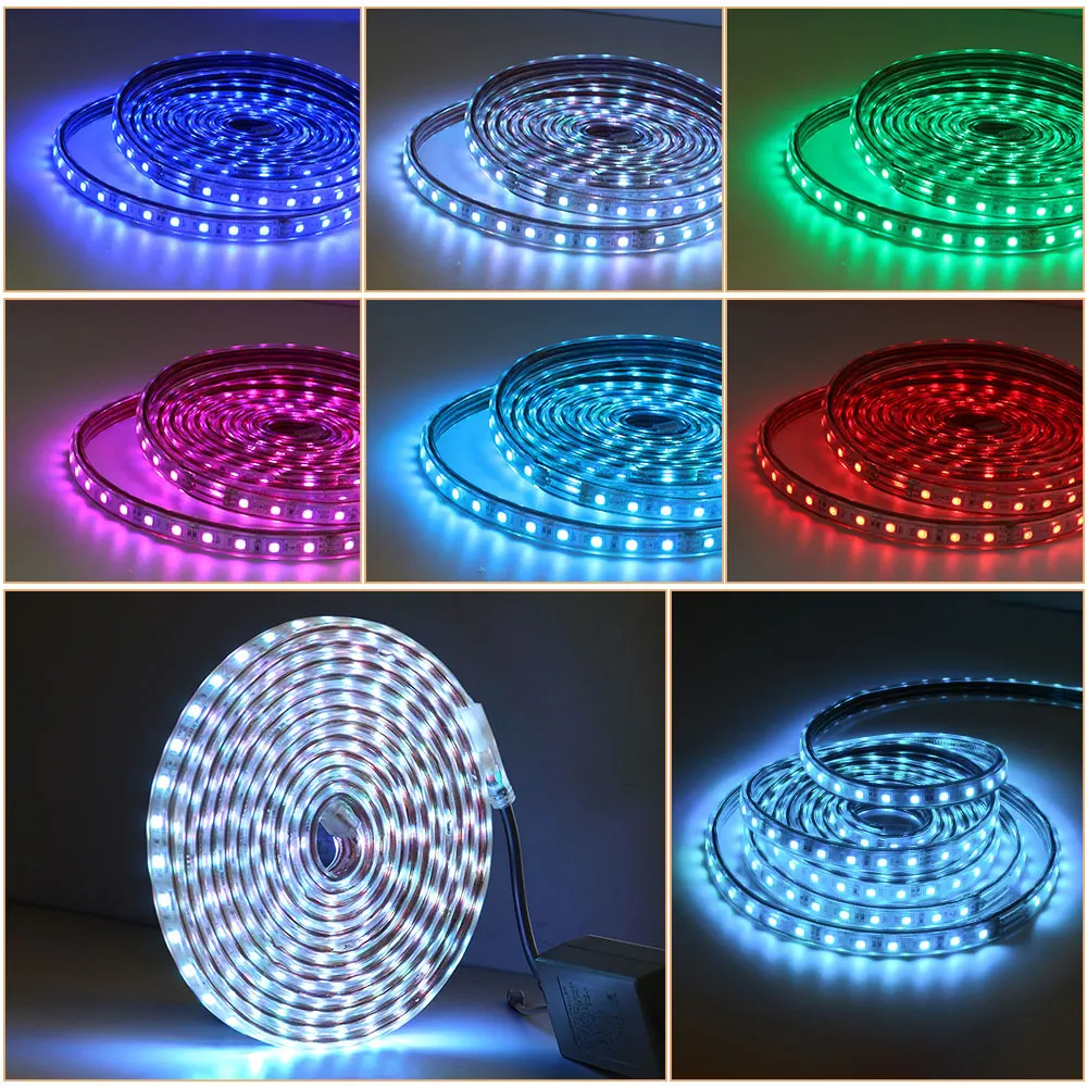 RGB LED Strip Light 220V Waterproof/Multi-Colors/Multi-Modes/Dimmable SMD5050 Rope Lamp With Remote/EU Plug for Garden Building