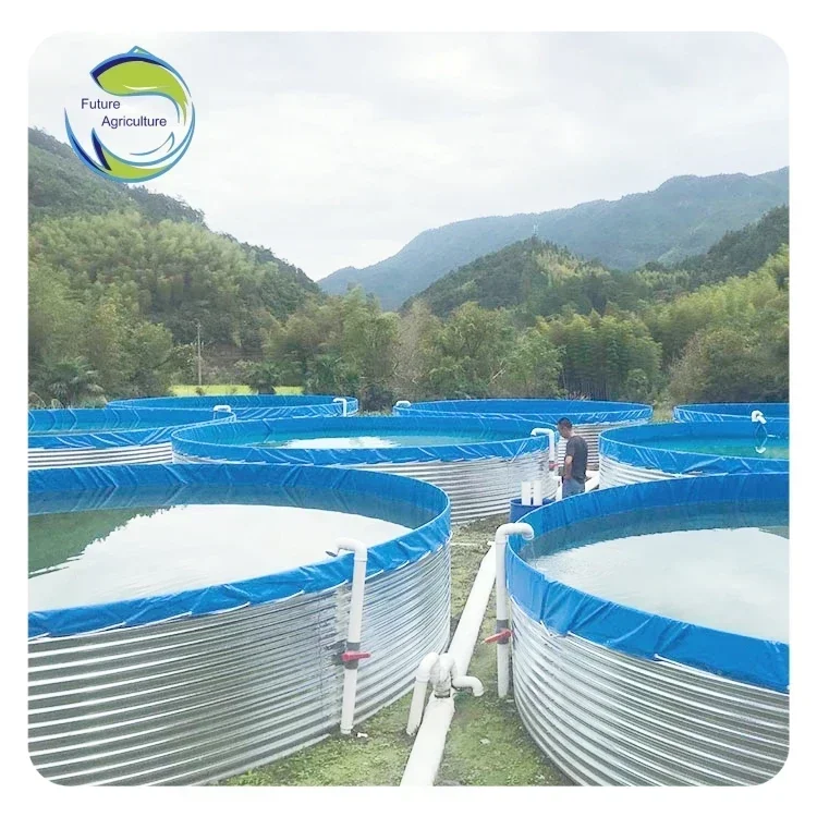 Factory Direct Fish Tanks Farm Aquaculture Large Commercial Fish Tank Outdoor Fish Pond Bac Pisciculture