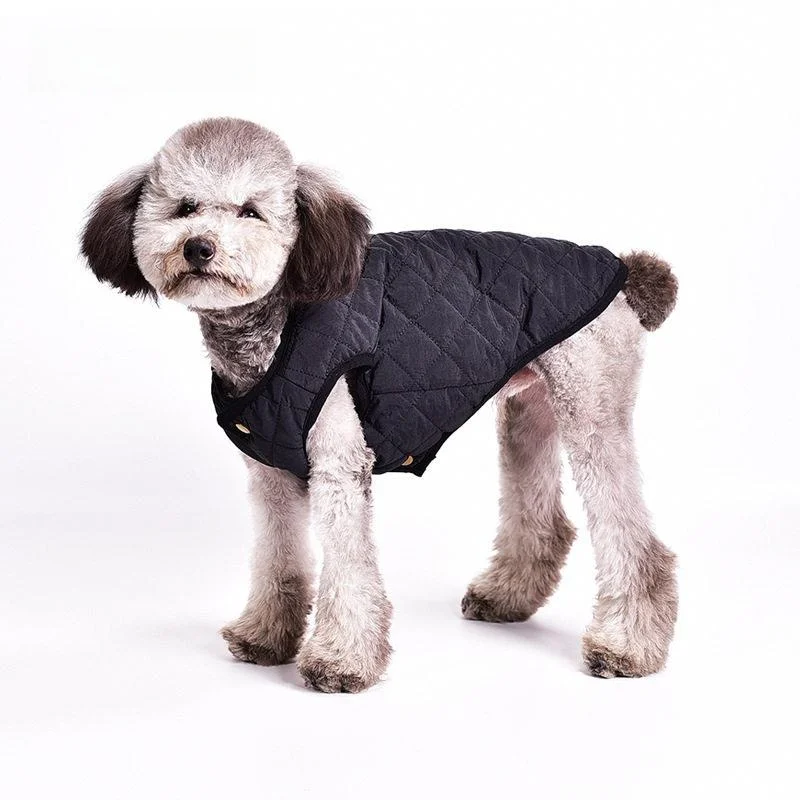 Ropa Abrigadora para Mascotas, Chaleco para Perros de Pelo Corto, Ropa para Otoño e Invierno, Resistente al Frío, Ropa para Perros Basenji