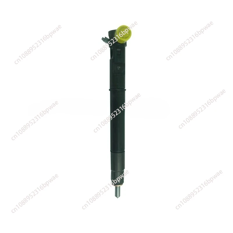 

R00301D A6710170121 EMBR00301D Форсунка Common Rail для Delphi Ssangyong
