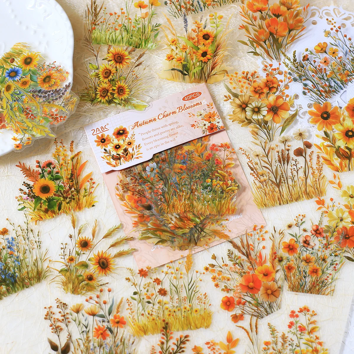 yZ[z40 ̉ԕXebJ[ PET vX`bNȔS DIY XNbvubLOW[idbP[XbvgbvR[WLXebJ[