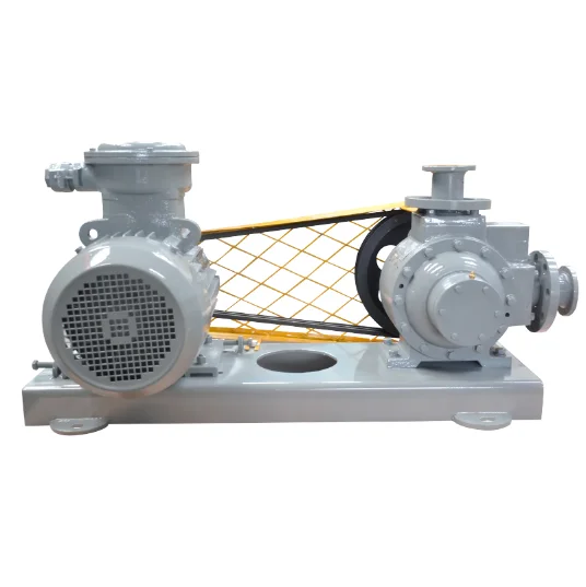 Vacuum  Rotarylpg Gas Transfer Pump  Electric Motor Rotary Pump Micro Magnetic Drive Gear Pump