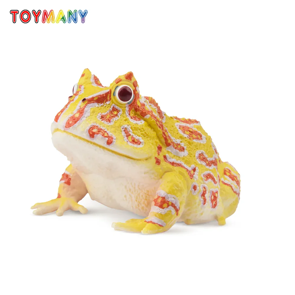 Toymany Simulation  Argentine Horned Frog Reptile Realm Animal Model Toy Mini Figures Dolls Action Figurines Toys Children Gift