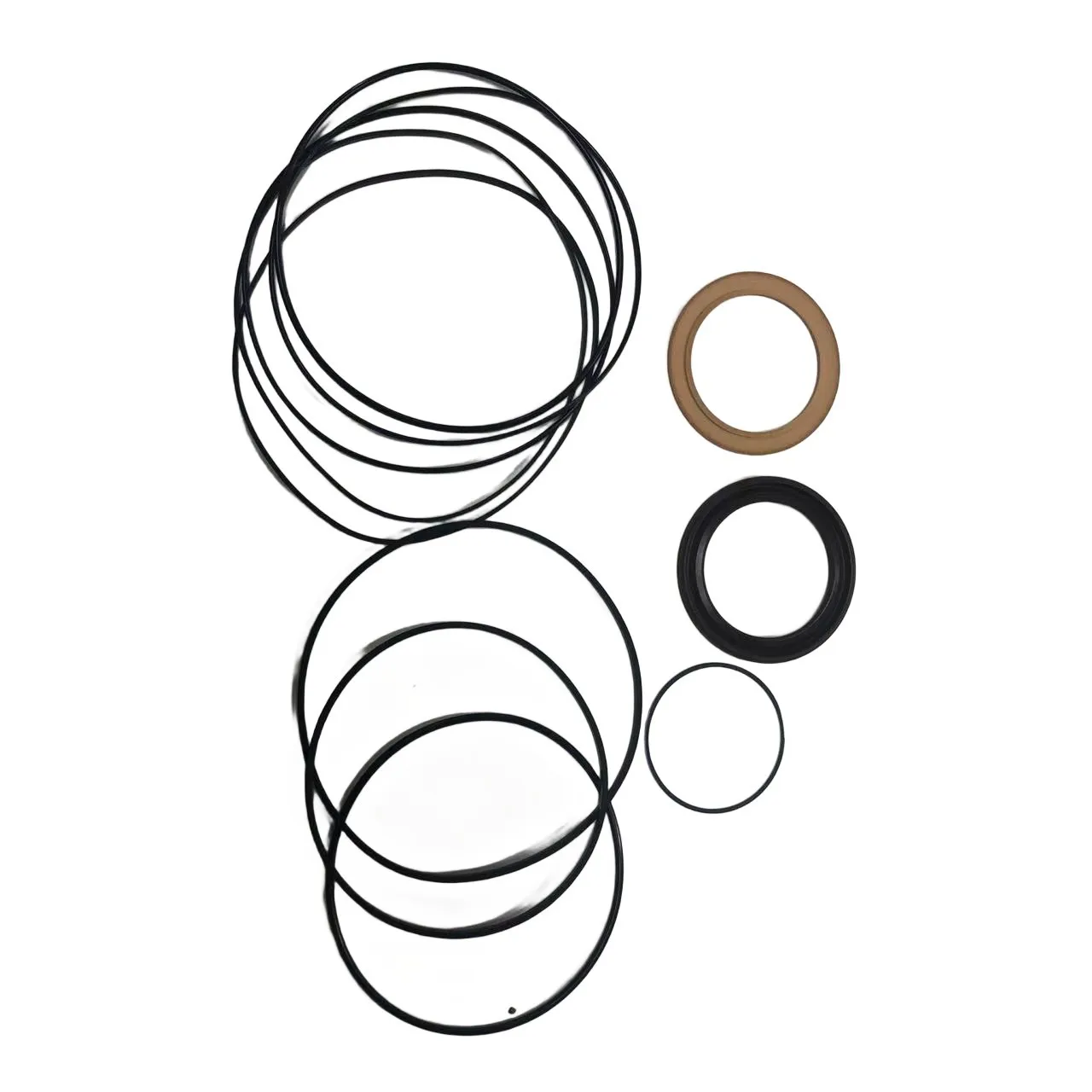 

Haurot SEAL KIT 2421694450 Drive Motor Seal Kit