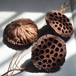 10/12/24pcs Real Lotus Pods Rustic Country Mori Style Christmas Wreaths Dried Flower Arrangement Decorations Home Decoration