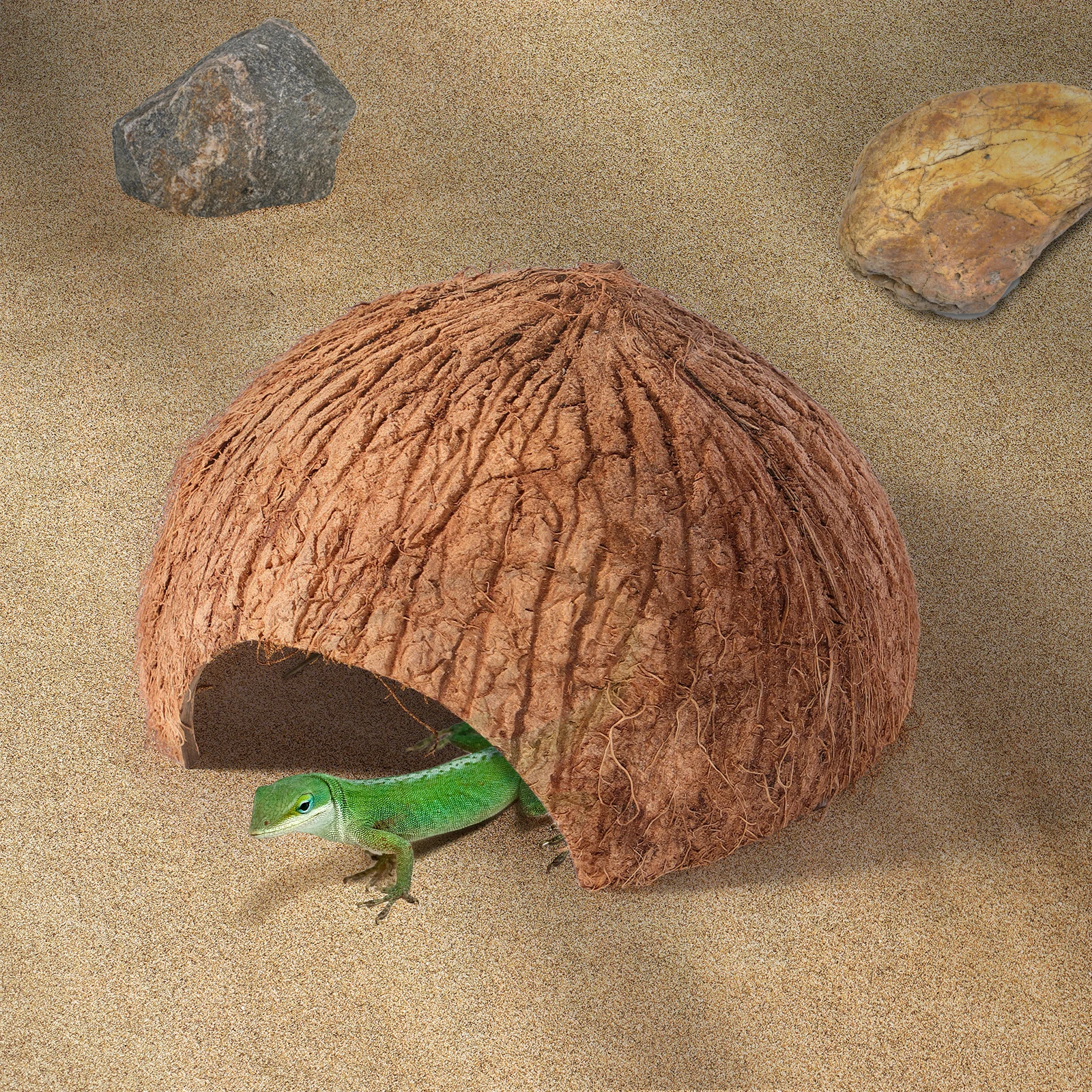 

Pet Coconut Tunnel Reptile Hideouts Hut Climbing Natural Habitat Terrarium Decoration Spider Lizard Snail Crab Warm