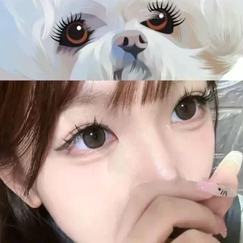 Natural Thick Curl Eyelashes Puppy Series Single Clusters False Eyelashes Suitable For Round Eyes Fluffy Beauty Daily Makeup