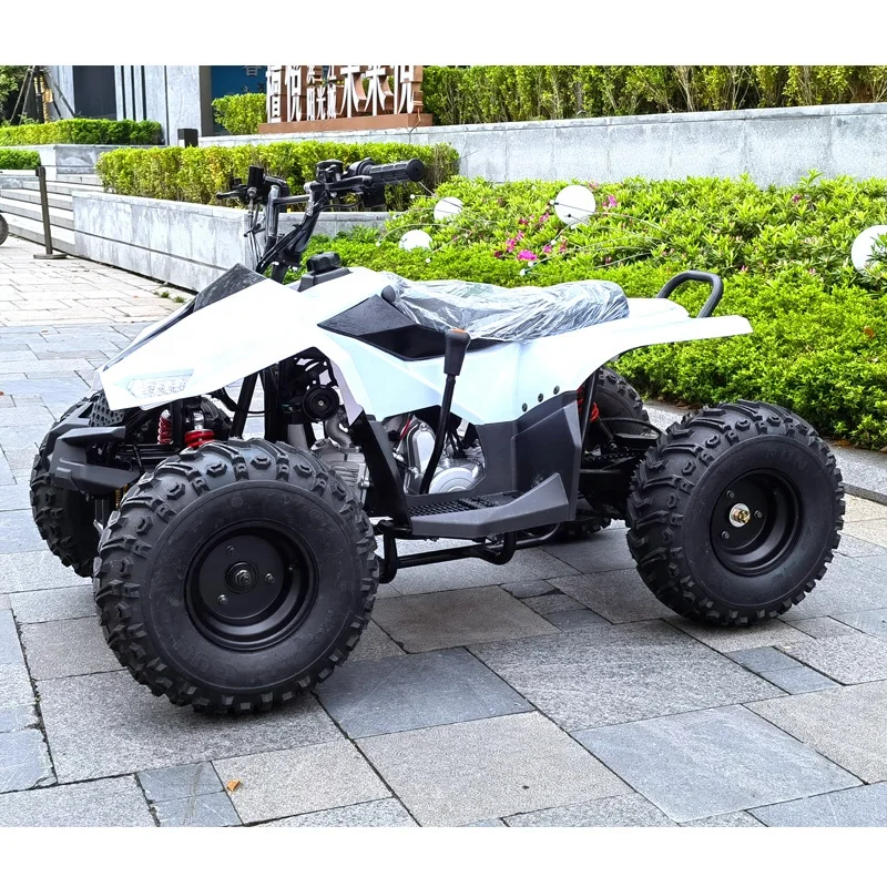 Wholesale Fashion 110CC 125cc  Mini ATV Buggy For Kids