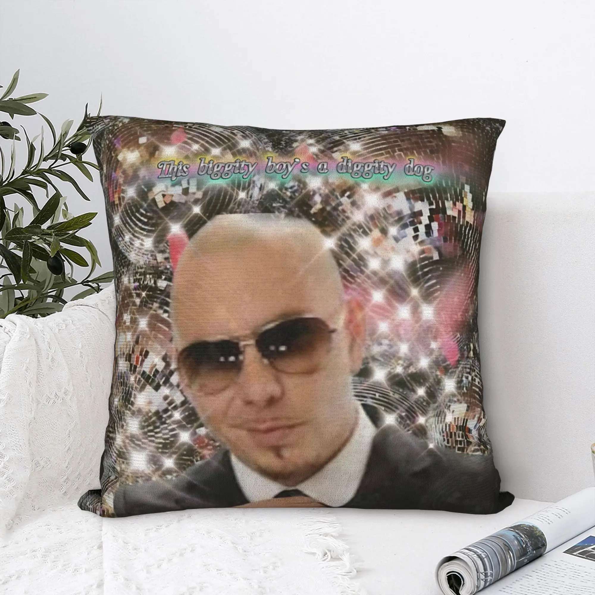 Singer Pitbull Tour 2026 Pillowcase Product Soft Cushion Cover  Throw Pillow Cover Home Decor Zippered Multi-Size