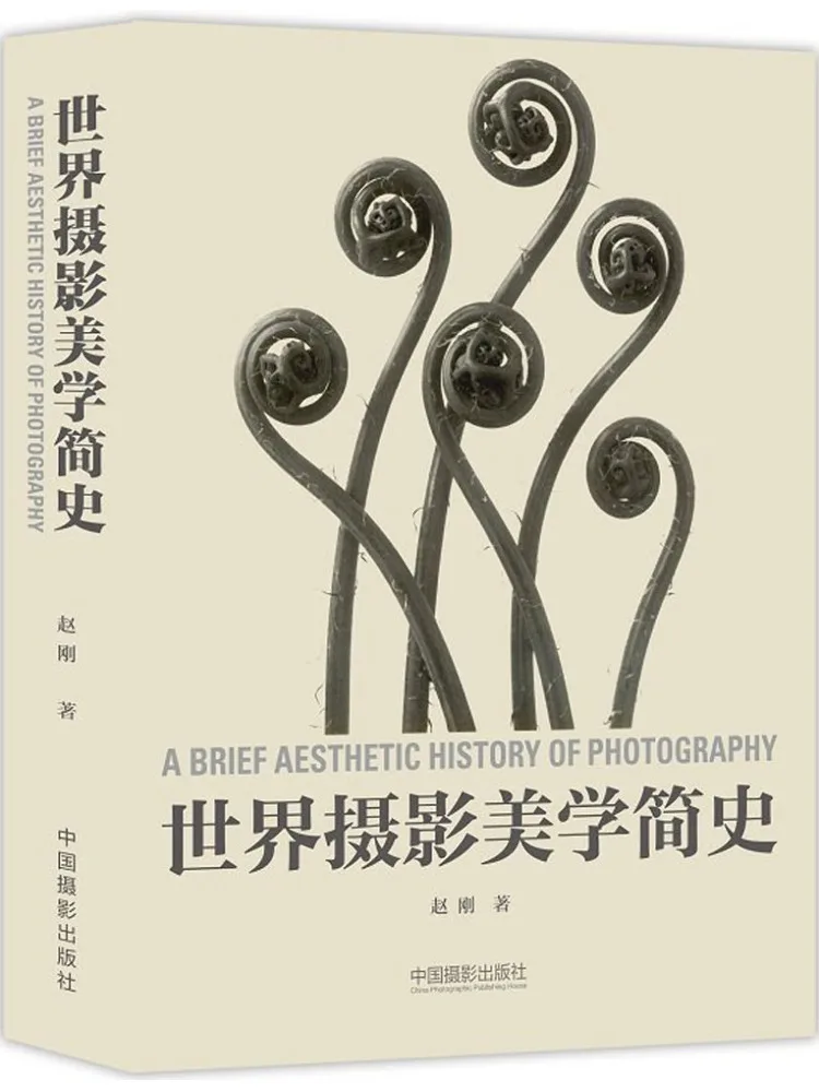 

Книга-Winshare Краткая история мира Эстетика фотосъемки