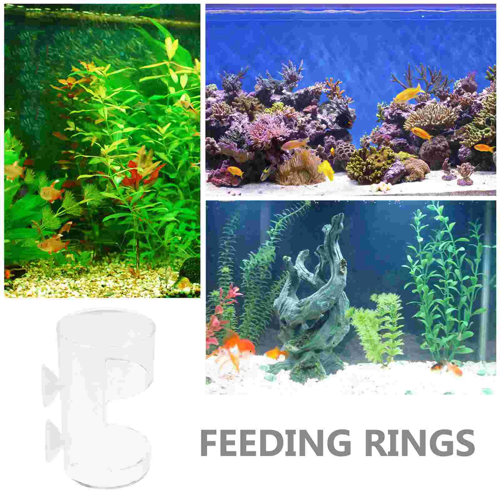 Fish Tanks Feeder Circles Clear Aquarium Round Accessories Feeding Supplies Ring