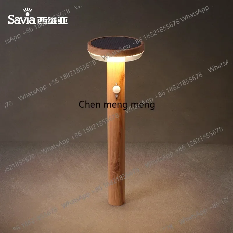 

Solar garden light Outdoor lawn light Waterproof wiring-free human body induction light